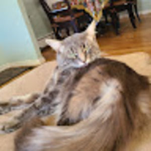 Meet your Posher, Steven